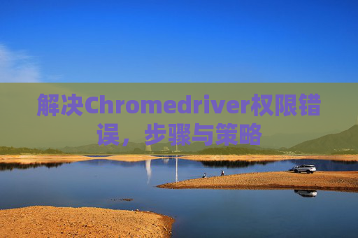 解决Chromedriver权限错误，步骤与策略